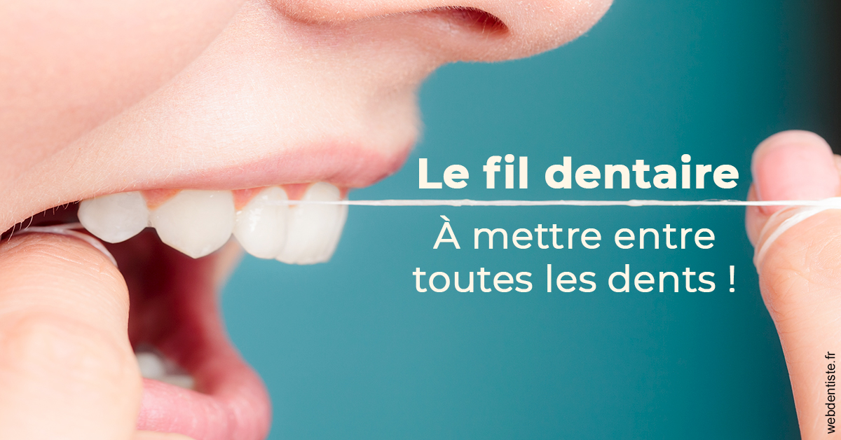 https://dr-baudelot-olivier.chirurgiens-dentistes.fr/Le fil dentaire 2