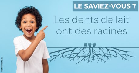 https://dr-baudelot-olivier.chirurgiens-dentistes.fr/Les dents de lait 2