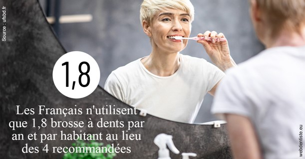 https://dr-baudelot-olivier.chirurgiens-dentistes.fr/Français brosses 2