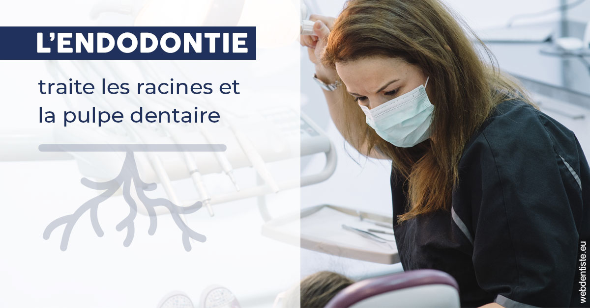 https://dr-baudelot-olivier.chirurgiens-dentistes.fr/L'endodontie 1