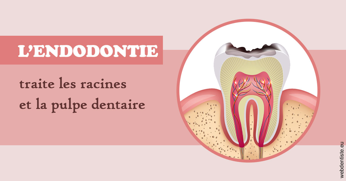 https://dr-baudelot-olivier.chirurgiens-dentistes.fr/L'endodontie 2