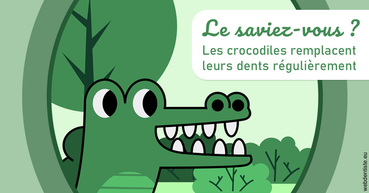 https://dr-baudelot-olivier.chirurgiens-dentistes.fr/Crocodiles 2