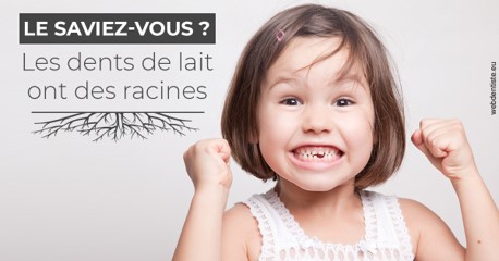 https://dr-baudelot-olivier.chirurgiens-dentistes.fr/Les dents de lait