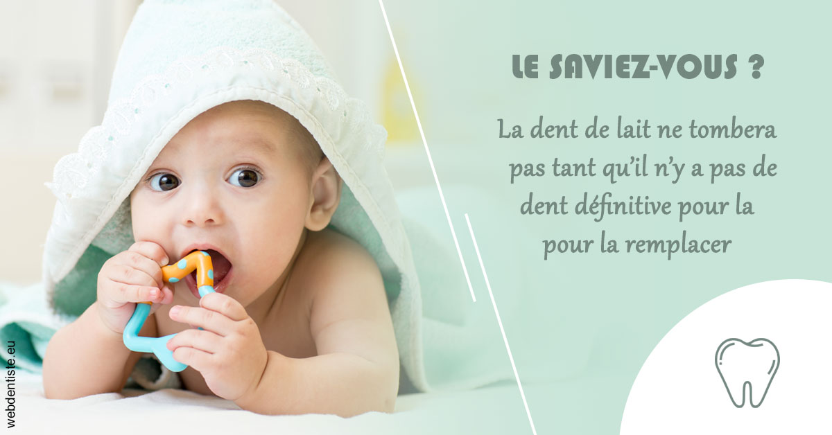 https://dr-baudelot-olivier.chirurgiens-dentistes.fr/La dent de lait 2