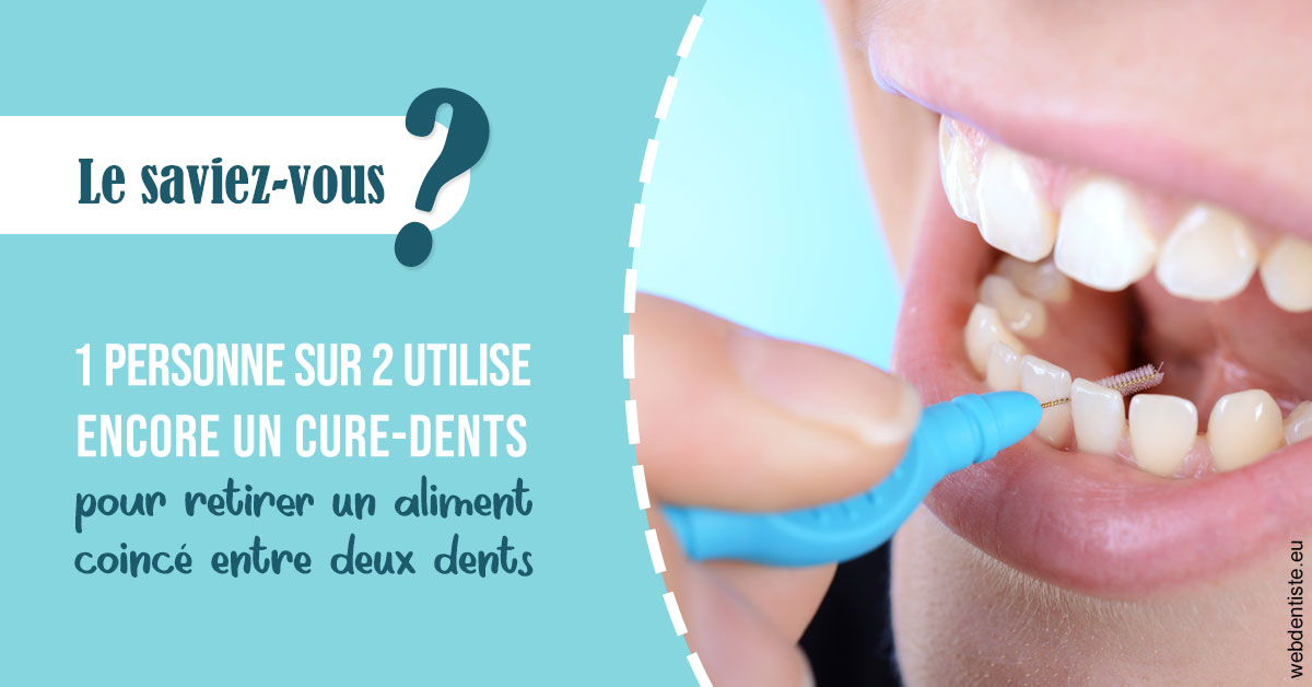 https://dr-baudelot-olivier.chirurgiens-dentistes.fr/Cure-dents 1