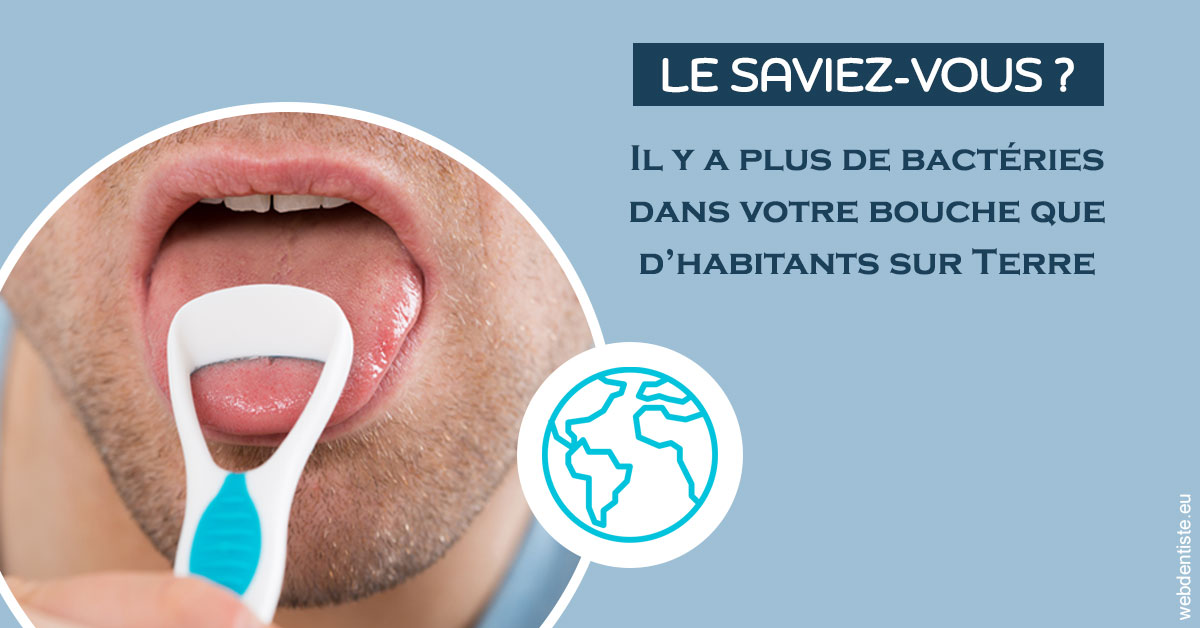 https://dr-baudelot-olivier.chirurgiens-dentistes.fr/Bactéries dans votre bouche 2