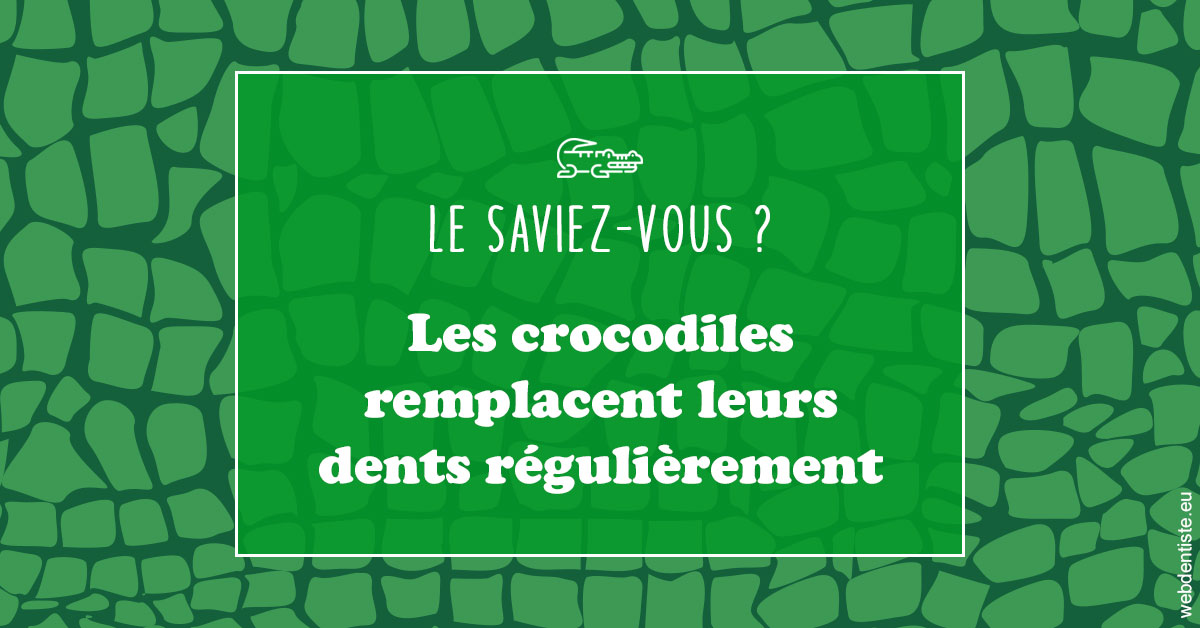 https://dr-baudelot-olivier.chirurgiens-dentistes.fr/Crocodiles 1